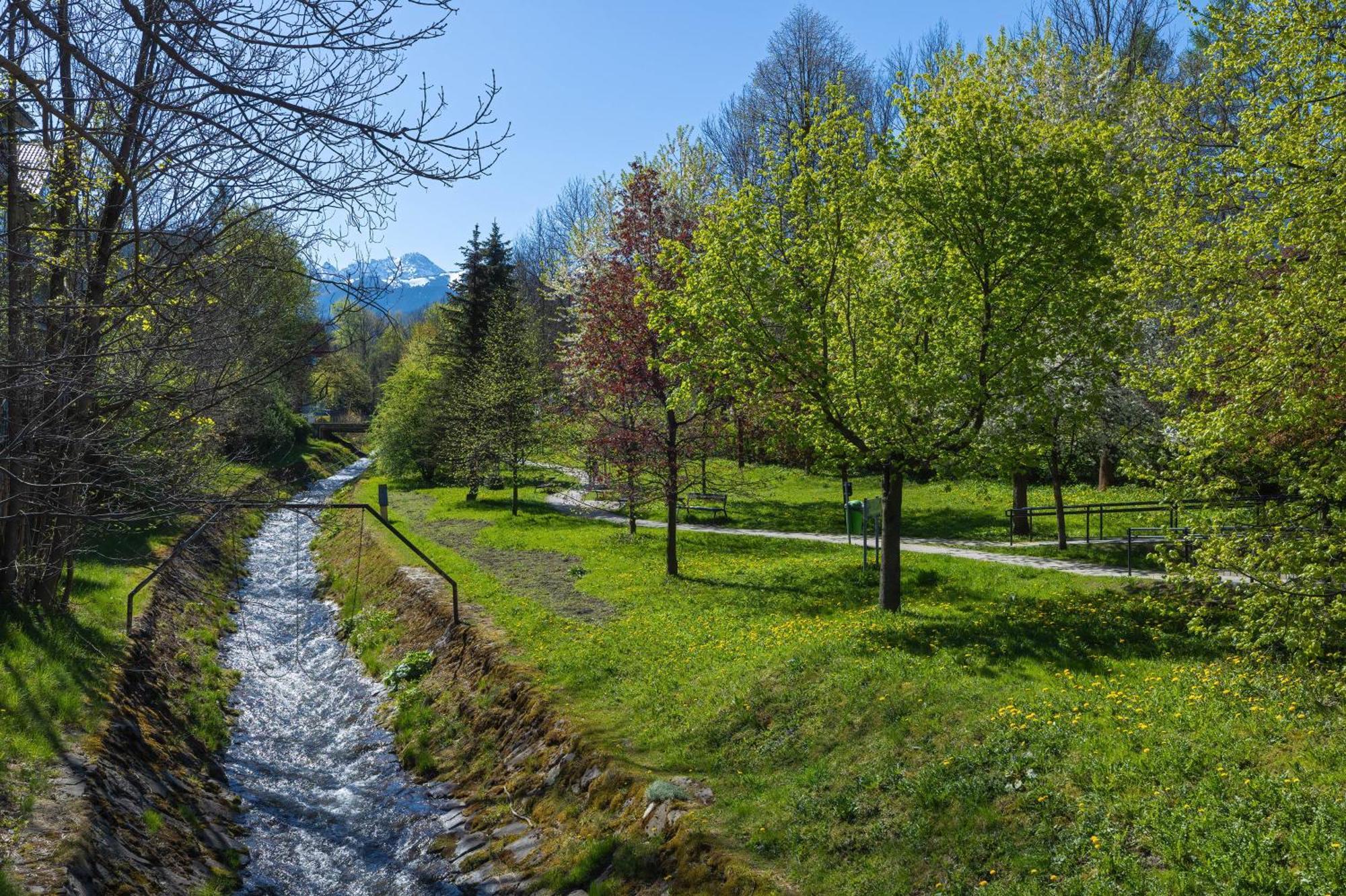 Rent Like Home - Sienkiewicza Zakopane Exterior foto